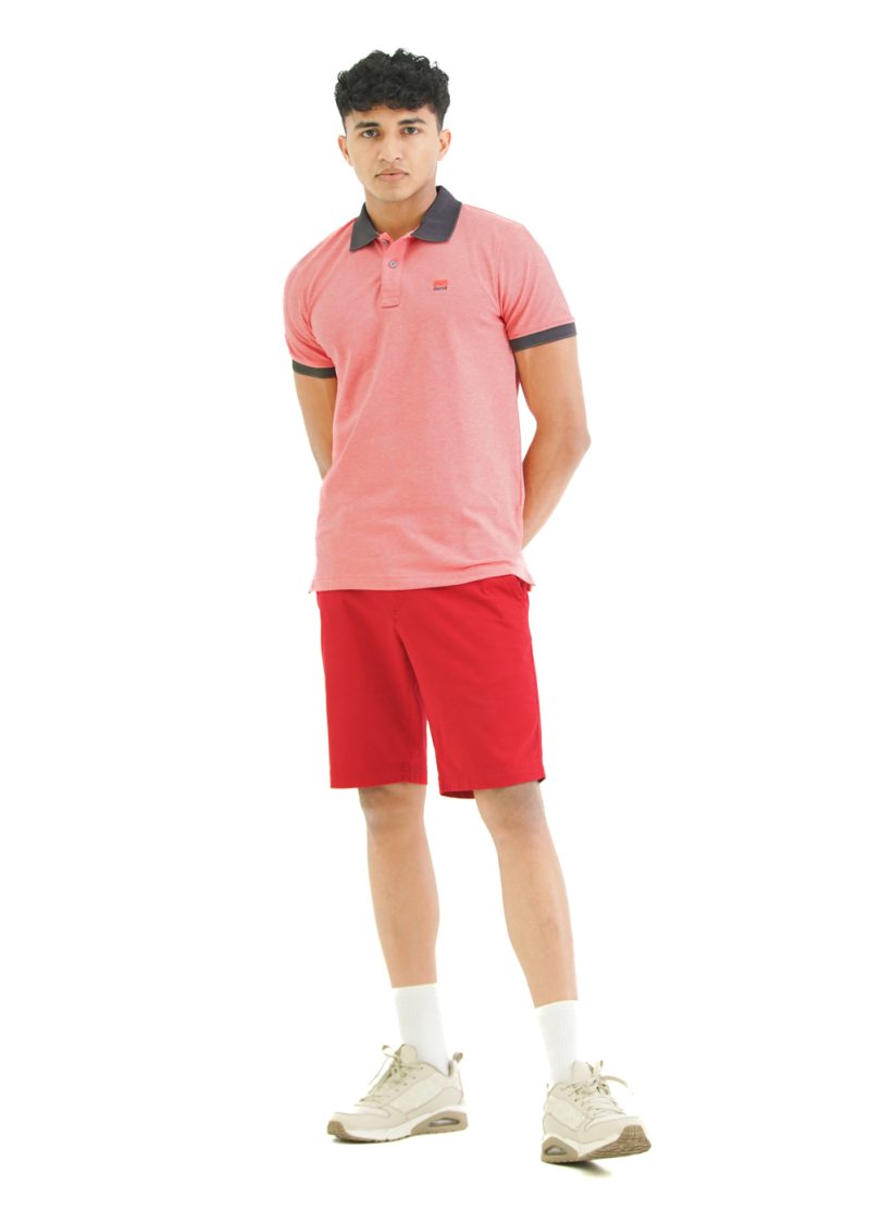 Moose Men's Solid Assorted Polo T-Shirt - Rose Wood