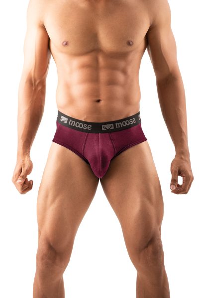 Men's Brief - Maroon